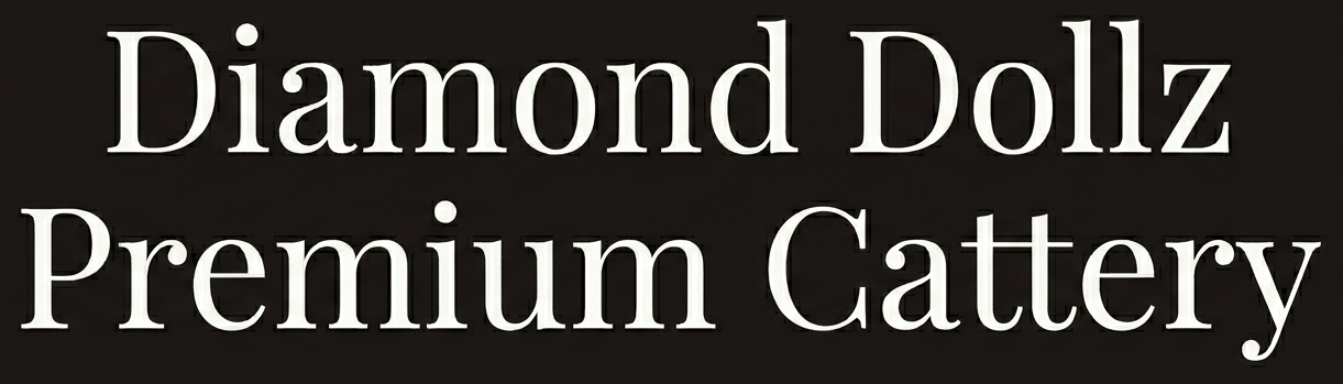 Diamond Dollz Premium Cattery Logo